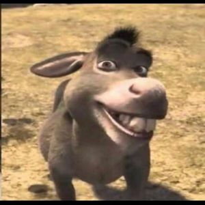 Meet your Posher, Ismael